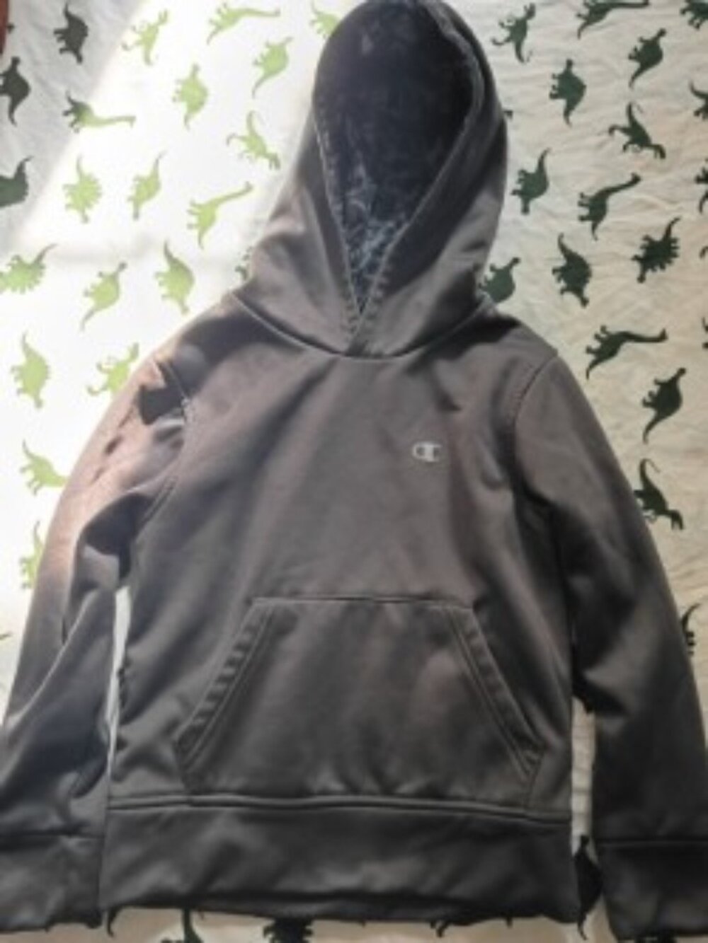 Champion Boy size 5/6 hoodie